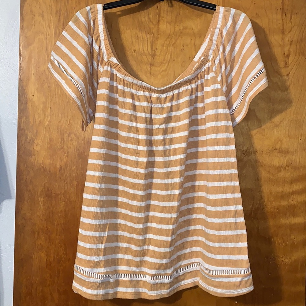 Gold & Cream Striped Dress Shirt